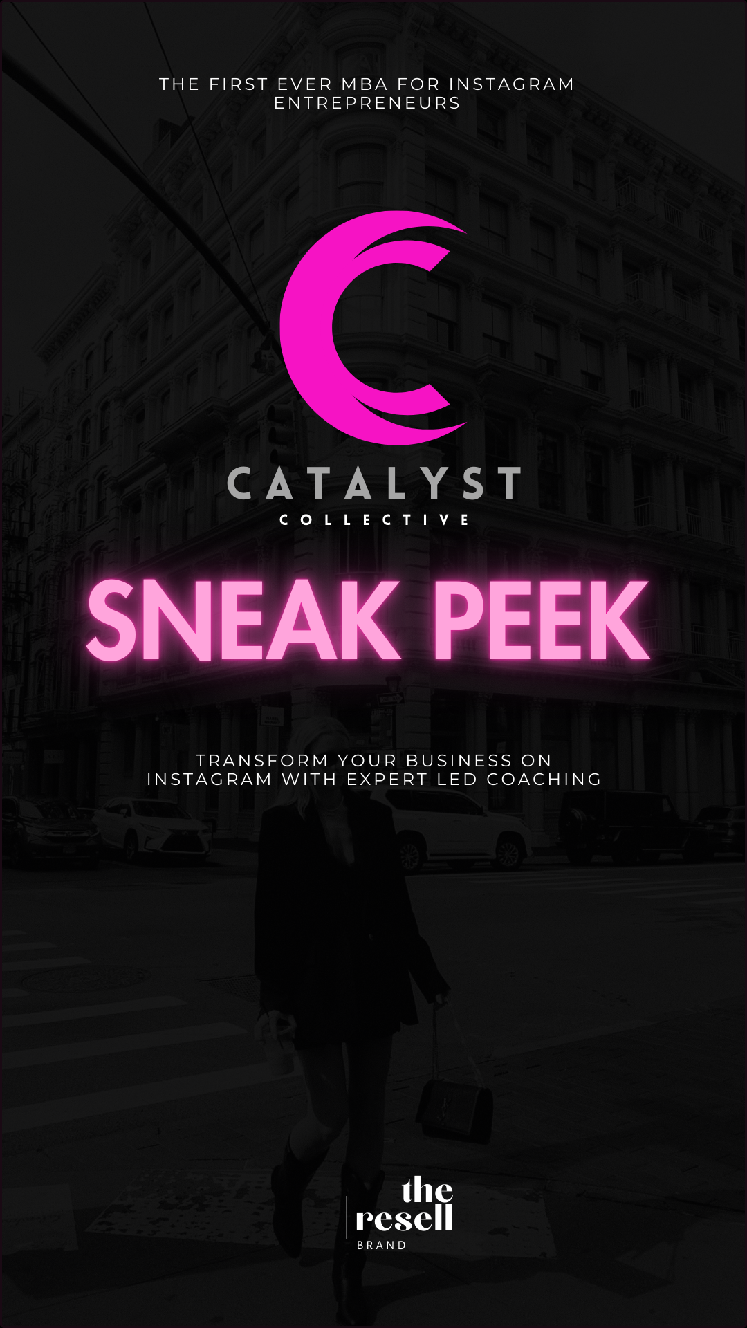 Free eBook: The Catalyst Collective Sneak Peek Lead Magnet Freebie | Instagram Growth Digital Marketing Course