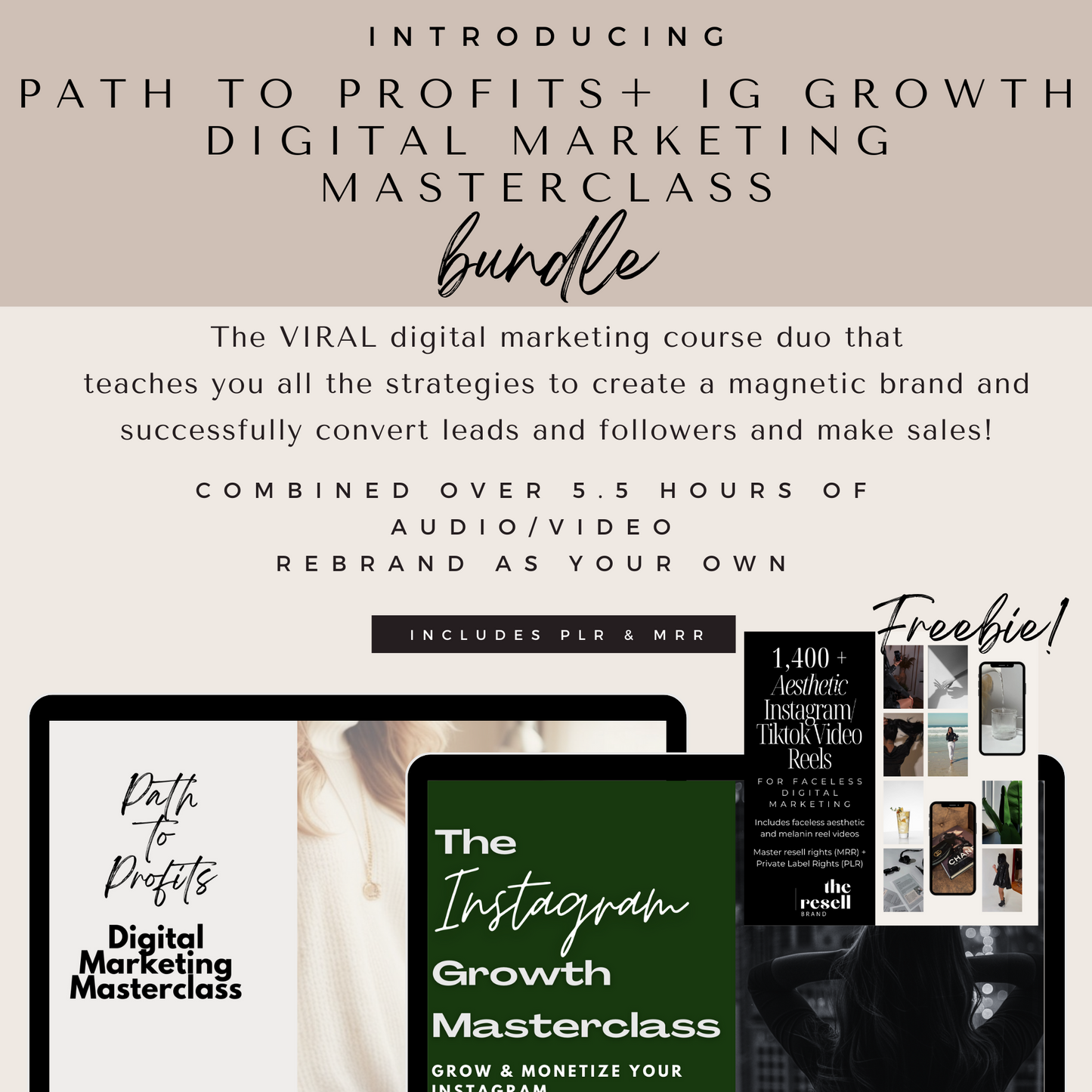 Path to Profits & The Instagram Growth Masterclass Bundle + Free 1400 Aesthetic Faceless Reel Videos