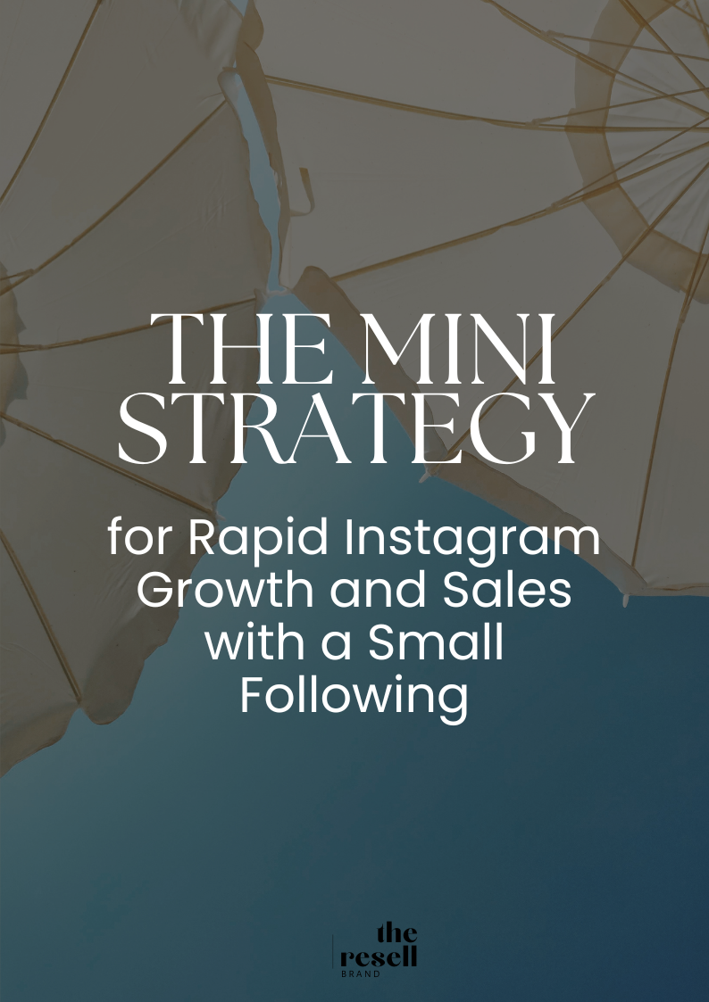 Free eBook: The Mini Strategy Lead Magnet Freebie | Strategy for Rapid Instagram Growth and Sales with a Small Following