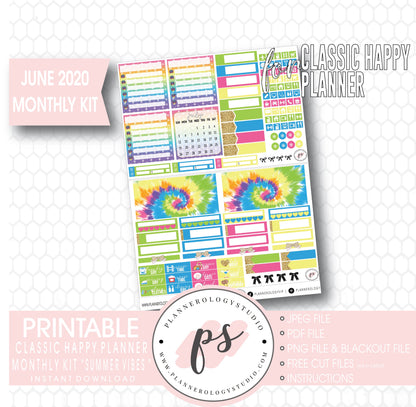 Summer Vibes June 2020 Monthly View Kit Digital Printable Planner Stickers (for use with Classic Happy Planner) - Plannerologystudio